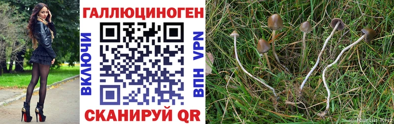 Галлюциногенные грибы GOLDEN TEACHER  Скопин 